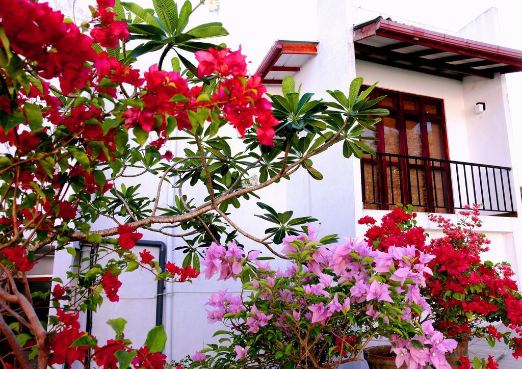 הוילה קיריבת'גודה Oak Residencies מראה חיצוני תמונה