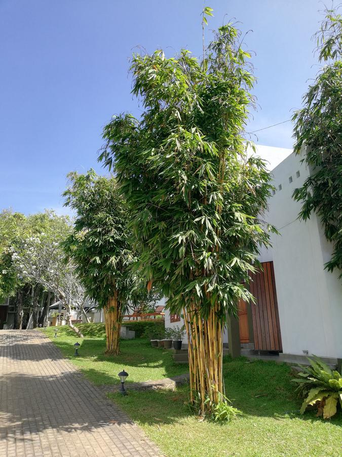 הוילה קיריבת'גודה Oak Residencies מראה חיצוני תמונה
